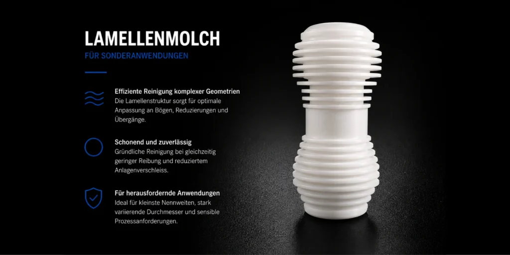 Lamellenmolch 800x400